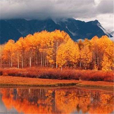 爱游戏APP·官方登录入口(ayx)手机app下载