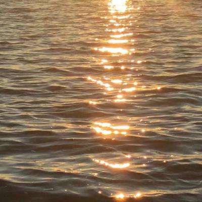 ayx体育在线登录